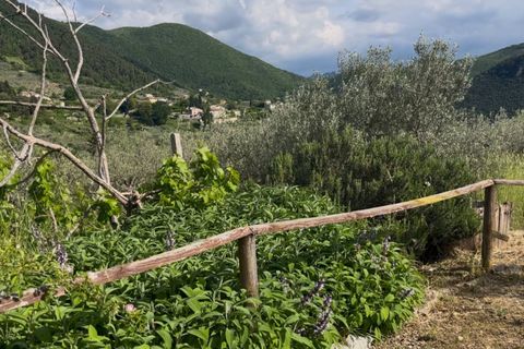 Villa a Spoleto, Perugia, Spoleto - € 270.000 | Ref: CBI057-935-30375 - foto 25