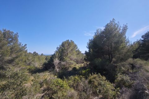 Tomt i Teulada, Alicante, Teulada - € 360 000 | Ref: P195 - foto 3