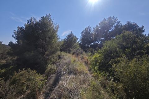 Tomt i Teulada, Alicante, Teulada - € 360 000 | Ref: P195 - foto 5
