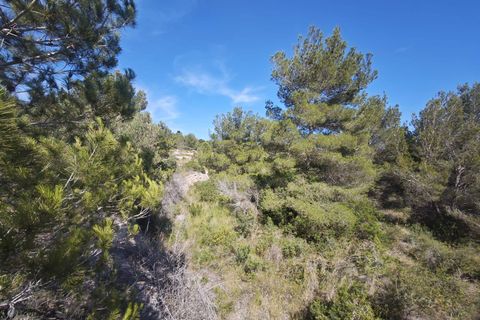 Tomt i Teulada, Alicante, Teulada - € 360 000 | Ref: P195 - foto 6