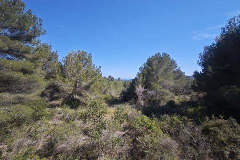 Tomt i Teulada, Alicante, Teulada - € 360 000 | Ref: P195 - foto 7