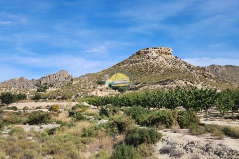 Leilighet i Abaran, Murcia, Abaran - € 75 000 | Ref: 2485/7779 - foto 35