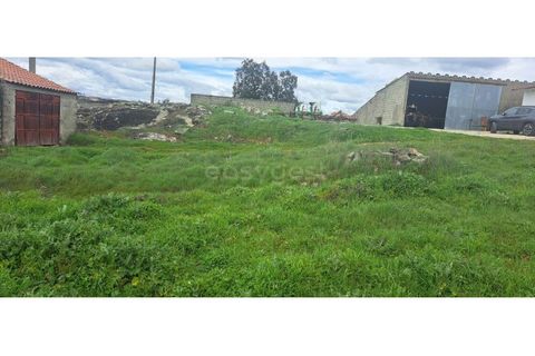 Villa i Torre de Moncorvo, Braganca, Torre de Moncorvo - € 11.000 | Ref: BG97372MG - foto 5