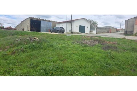 Villa i Torre de Moncorvo, Braganca, Torre de Moncorvo - € 11.000 | Ref: BG97372MG - foto 6