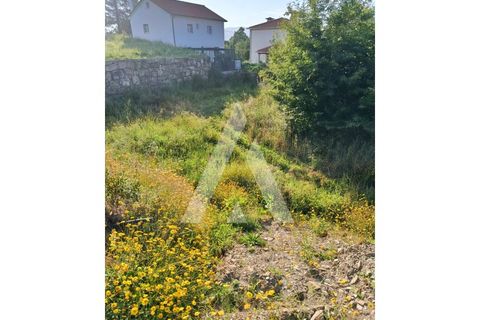 Helårsgrund i Ponte de Lima, Viana do Castelo, Ponte de Lima - € 77.000 | Ref: 1350182/25VC - foto 6