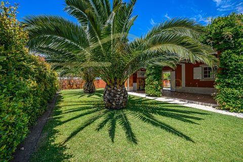 Villa i Sintra, Lisbon, Sintra - € 1.980.000 | Ref: CAS_106 - foto 14