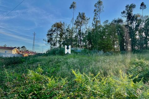 Helårsgrund i Vila do Conde, Porto, Vila do Conde - € 100.000 | Ref: 6599 - foto 2