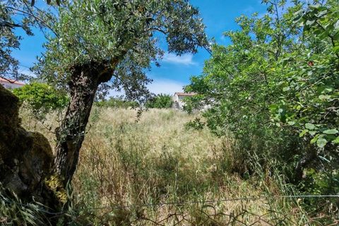 Helårsgrund i Tomar, Santarem, Tomar - € 32.000 | Ref: TM97367 - foto 1
