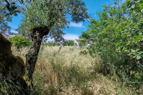 Helårsgrund i Tomar, Santarem, Tomar - € 32.000 | Ref: TM97367 - foto 2