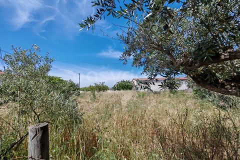 Helårsgrund i Tomar, Santarem, Tomar - € 32.000 | Ref: TM97367 - foto 3