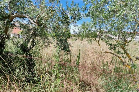 Helårsgrund i Tomar, Santarem, Tomar - € 32.000 | Ref: TM97367 - foto 5