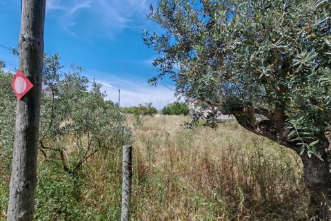 Helårsgrund i Tomar, Santarem, Tomar - € 32.000 | Ref: TM97367 - foto 7