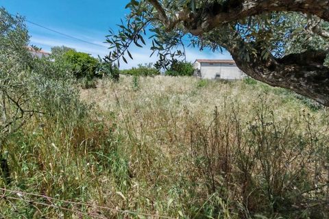 Helårsgrund i Tomar, Santarem, Tomar - € 32.000 | Ref: TM97367 - foto 8