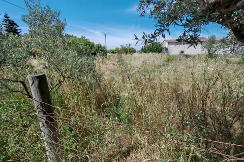 Helårsgrund i Tomar, Santarem, Tomar - € 32.000 | Ref: TM97367 - foto 9