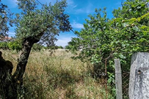 Helårsgrund i Tomar, Santarem, Tomar - € 32.000 | Ref: TM97367 - foto 10