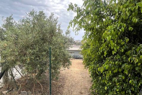 Helårsgrund i Sciacca, Agrigento, Sciacca - € 55.000 | Ref: SC04-0062 - foto 6