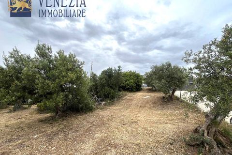 Helårsgrund i Sciacca, Agrigento, Sciacca - € 55.000 | Ref: SC04-0062 - foto 7