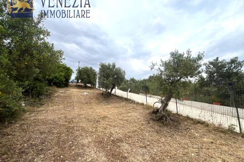 Helårsgrund i Sciacca, Agrigento, Sciacca - € 55.000 | Ref: SC04-0062 - foto 8