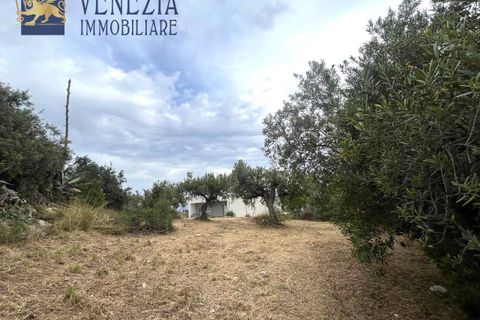 Helårsgrund i Sciacca, Agrigento, Sciacca - € 55.000 | Ref: SC04-0062 - foto 10