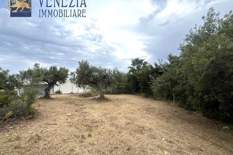 Helårsgrund i Sciacca, Agrigento, Sciacca - € 55.000 | Ref: SC04-0062 - foto 11