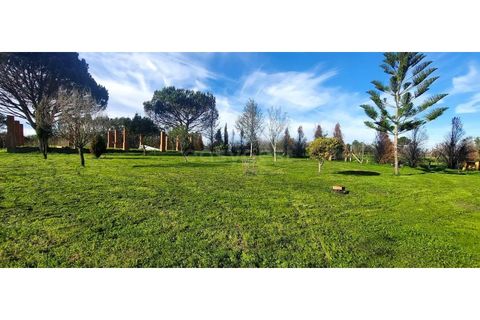 Farm i Angeja, Aveiro, Angeja - € 245.000 | Ref: EA97341 - foto 4