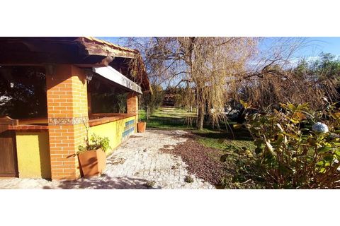 Farm i Angeja, Aveiro, Angeja - € 245.000 | Ref: EA97341 - foto 9