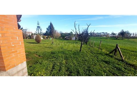 Farm i Angeja, Aveiro, Angeja - € 245.000 | Ref: EA97341 - foto 10