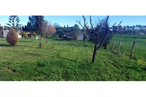 Farm i Angeja, Aveiro, Angeja - € 245.000 | Ref: EA97341 - foto 11
