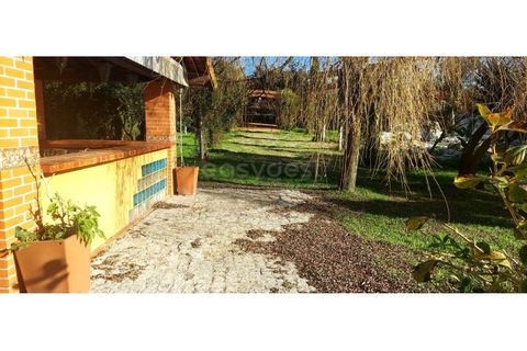 Farm i Angeja, Aveiro, Angeja - € 245.000 | Ref: EA97341 - foto 14