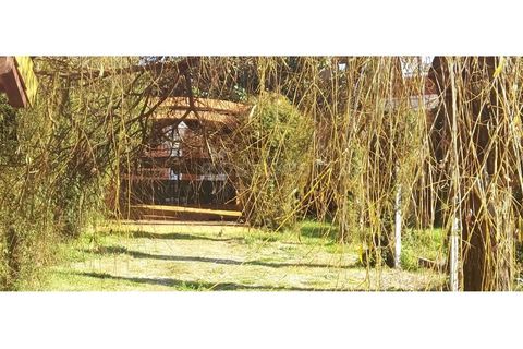 Farm i Angeja, Aveiro, Angeja - € 245.000 | Ref: EA97341 - foto 15