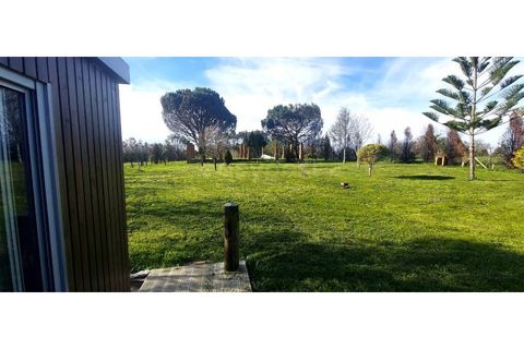 Farm i Angeja, Aveiro, Angeja - € 245.000 | Ref: EA97341 - foto 17