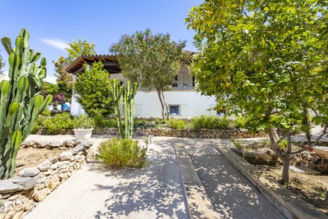 Villa i Torrenova, Mallorca, Torrenova - € 1.250.000 | Ref: SH-1589 - foto 9