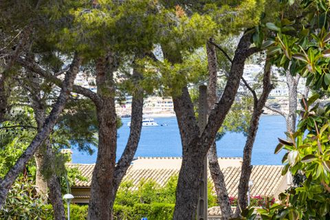 Villa i Torrenova, Mallorca, Torrenova - € 1.250.000 | Ref: SH-1589 - foto 28