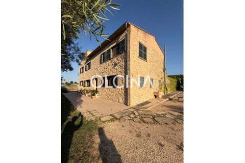 Herregård i Onil, Alicante, Onil - € 1 350 000 | Ref: 538/6818 - foto 29
