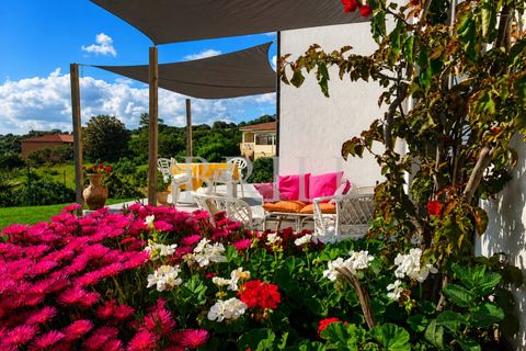 Villa a Luogosanto, Sassari, Luogosanto - € 650.000 | Ref: OT-054DB - foto 2