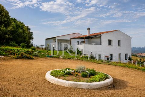 Villa a Luogosanto, Sassari, Luogosanto - € 650.000 | Ref: OT-054DB - foto 23