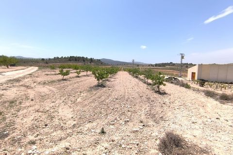 Terra a Monovar, Alicante, Monovar - € 46.900 | Ref: 70046 - foto 2
