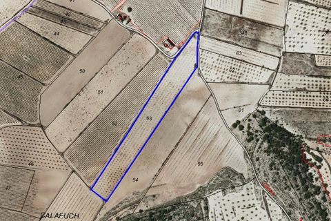 Terra a Monovar, Alicante, Monovar - € 46.900 | Ref: 70046 - foto 7