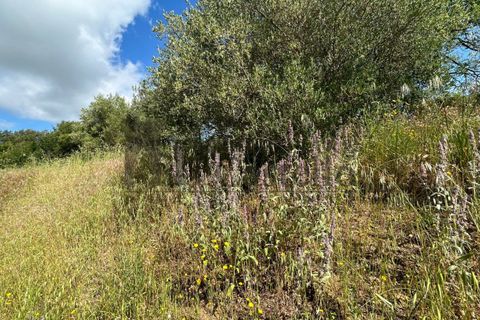 Landejendom i Panicale, Perugia, Panicale - € 320.000 | Ref: CR191 - foto 15