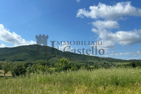 Landejendom i Panicale, Perugia, Panicale - € 320.000 | Ref: CR191 - foto 20