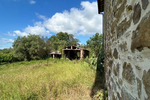 Landejendom i Panicale, Perugia, Panicale - € 320.000 | Ref: CR191 - foto 32