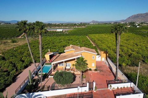 Villa i Orihuela, Alicante, Orihuela - € 675.000 | Ref: AG19MLSC7162458 - foto 14