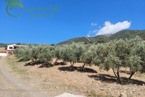 Villa a Alcaucin, Malaga, Alcaucin - € 395.000 | Ref: ALC120 - foto 37