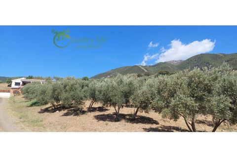 Villa a Alcaucin, Malaga, Alcaucin - € 395.000 | Ref: ALC120 - foto 39
