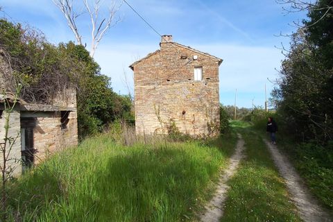 Villa a Montottone, Fermo, Montottone - € 120.000 | Ref: MG2374 - foto 13