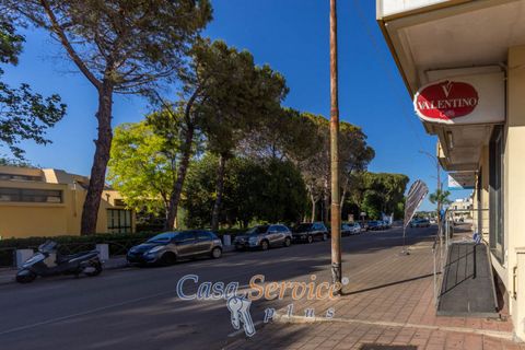 Erhvervsejendom i Alezio, Lecce, Alezio - € 55.000 | Ref: ALIL-BAR-55 - foto 15