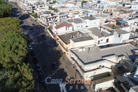 Erhvervsejendom i Alezio, Lecce, Alezio - € 55.000 | Ref: ALIL-BAR-55 - foto 20