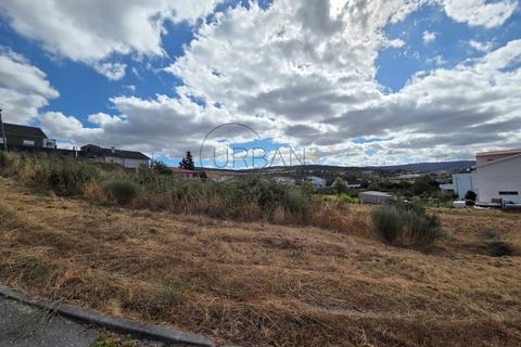 Terra a Moimenta da Beira, Viseu, Moimenta da Beira - € 50.000 | Ref: 0141 - foto 2
