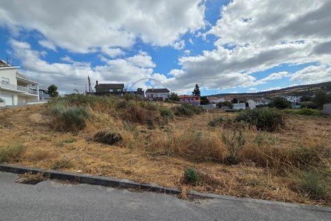 Terra a Moimenta da Beira, Viseu, Moimenta da Beira - € 50.000 | Ref: 0141 - foto 3
