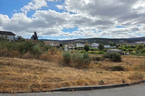 Terra a Moimenta da Beira, Viseu, Moimenta da Beira - € 50.000 | Ref: 0141 - foto 4